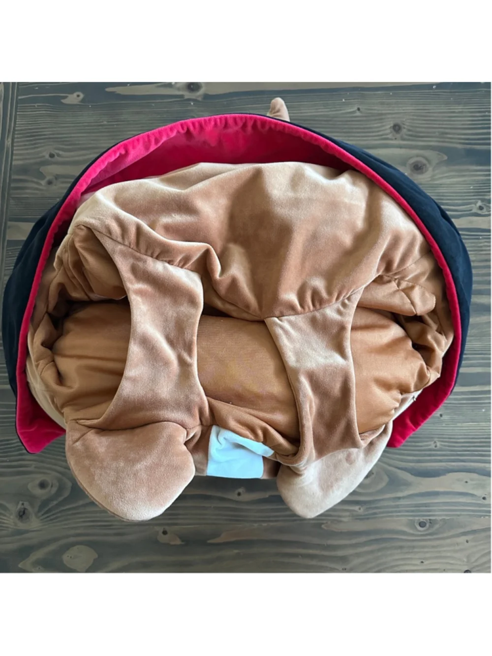 Squishmallows “vampire corgi”